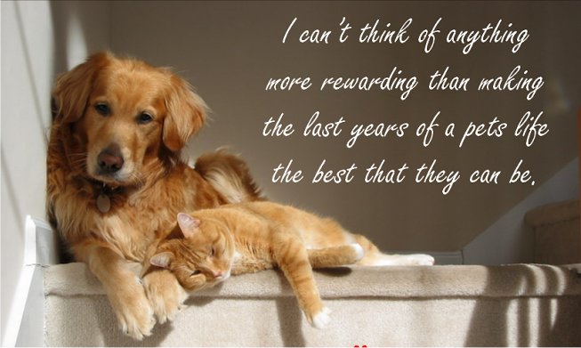 Pets Happy